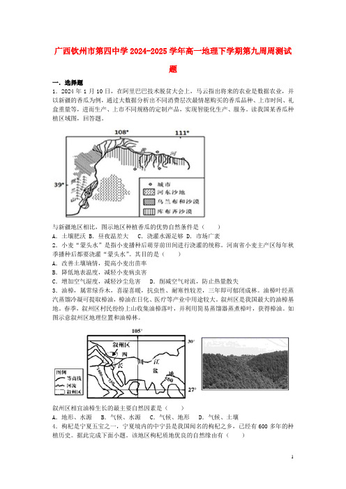 广西钦州市第四中学2024_2025学年高一地理下学期第九周周测试题