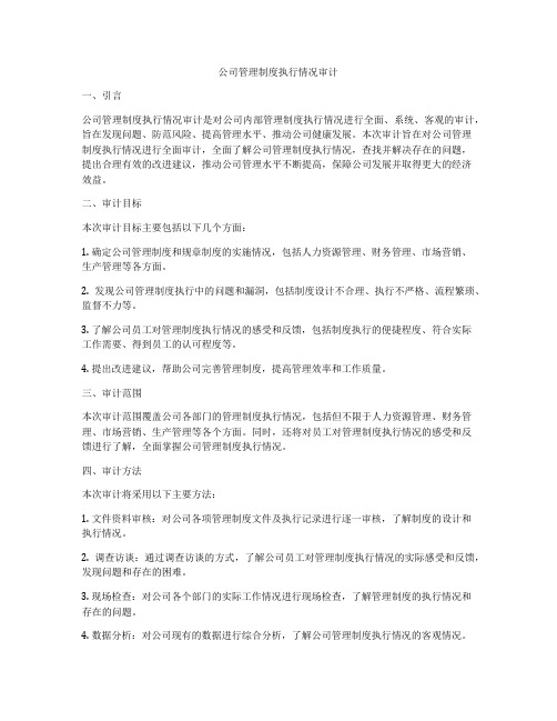 公司管理制度执行情况审计