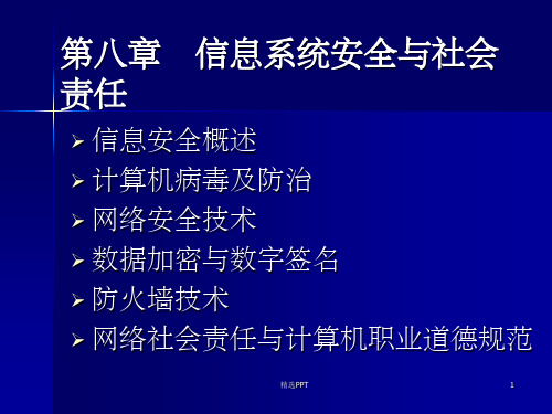 信息系统安全与社会责任