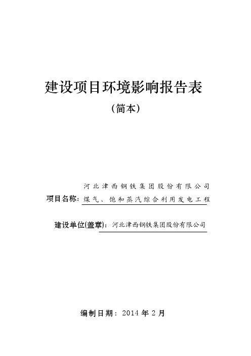 河北津西钢铁集团股份有限公司煤气、饱和蒸汽综合利用发电工程简本