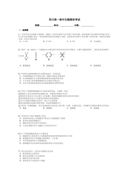 四川高一高中生物期末考试带答案解析
