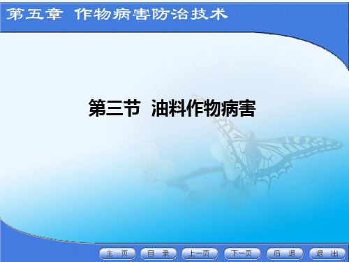 作物病虫害防治课件第五章(3-2)作物病虫害防治