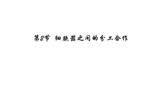 细胞膜的结构和功能课件(共20张PPT)人教版必修1