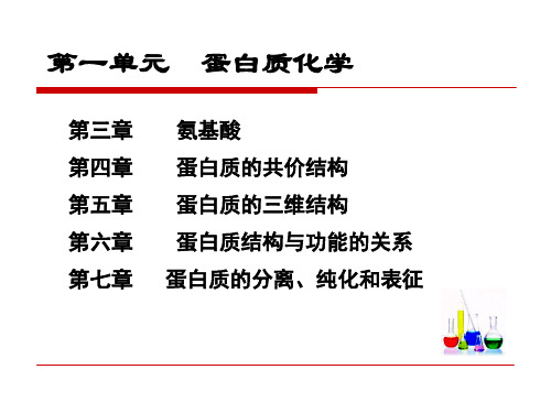 《生物化学》蛋白质的共价结构