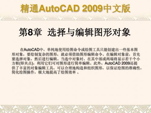 《精通AutoCAD 2009中文版》课件  第8章