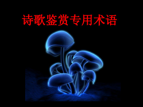 诗歌鉴赏专用术语