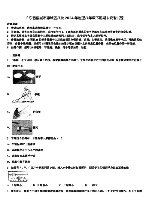 广东省惠城市惠城区八校2024年物理八年级下册期末统考试题含解析