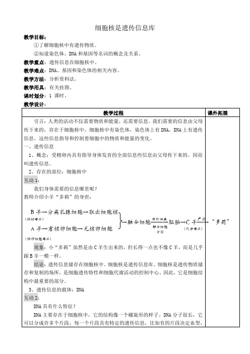 新人教版七年级生物上册细胞核是遗传信息库(2)