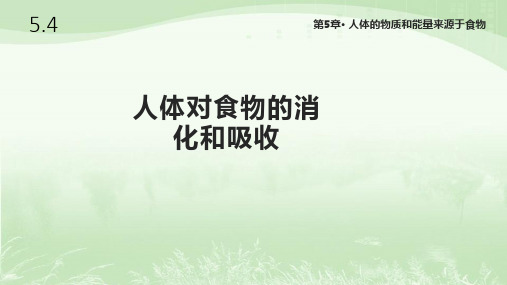 苏科版七年级生物上册5.4《人体对食物的消化和吸收》课件