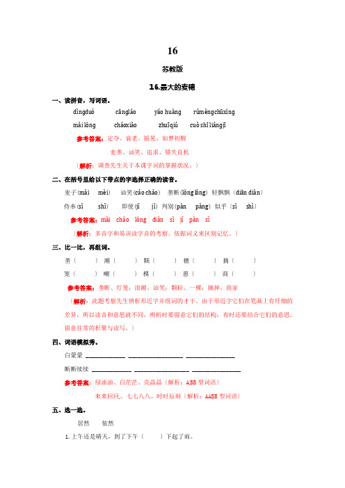 16.最大的麦穗(同步练习及解析)苏教版六年级语文下册