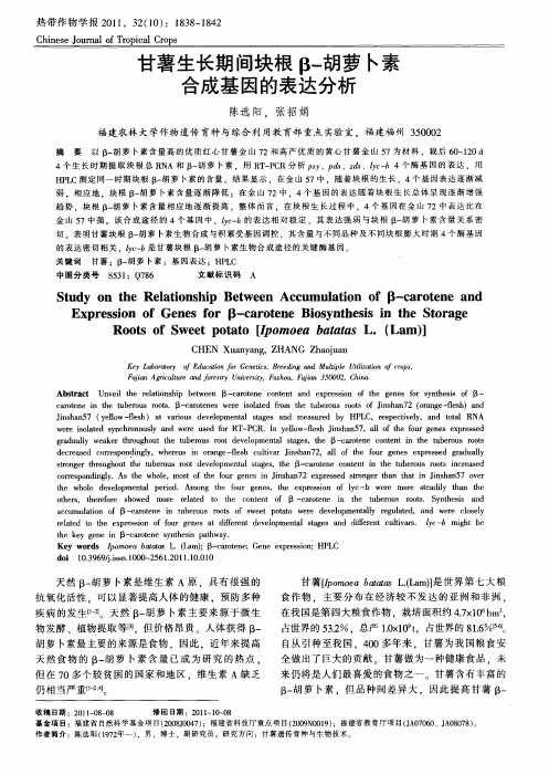 甘薯生长期间块根β-胡萝卜素合成基因的表达分析