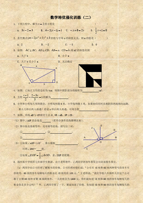 数学：期末培优强化训练(人教版七年级下)2