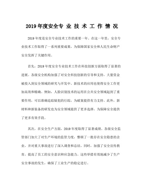 2019年度安全专 业 技 术 工 作 情 况