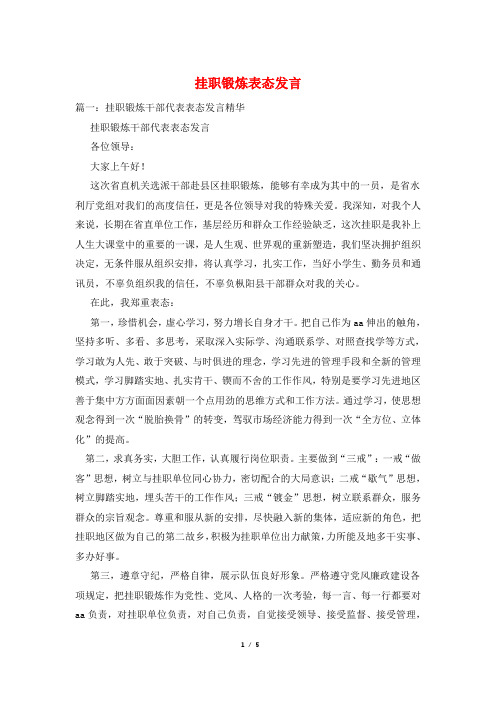 挂职锻炼表态发言