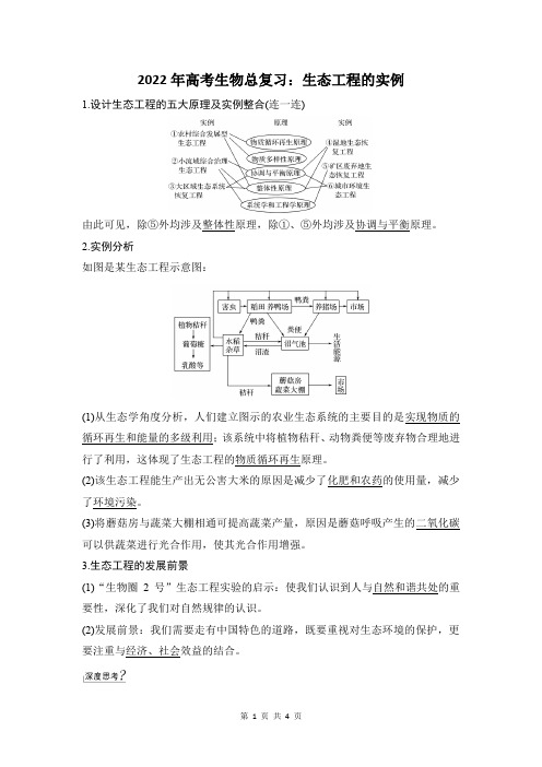 生态工程的实例