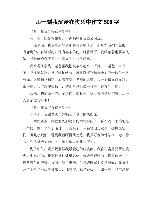 那一刻我沉浸在快乐中作文500字