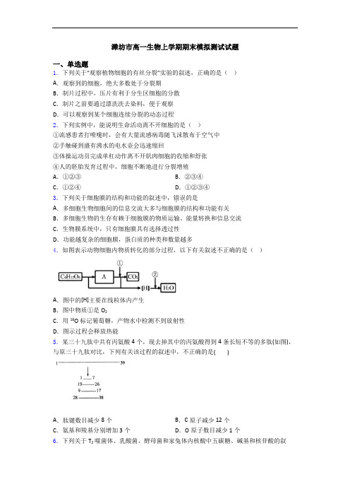 潍坊市高一生物上学期期末模拟测试试题