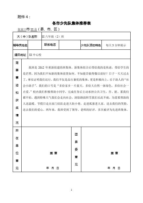 市少先队集体推荐表