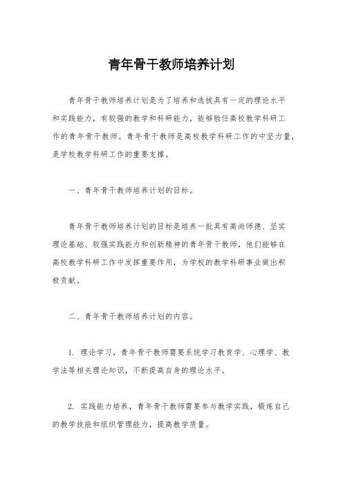 青年骨干教师培养计划