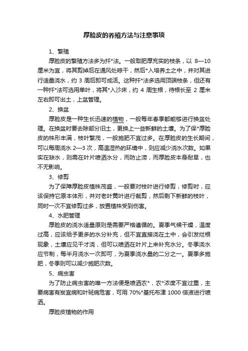 厚脸皮的养殖方法与注意事项