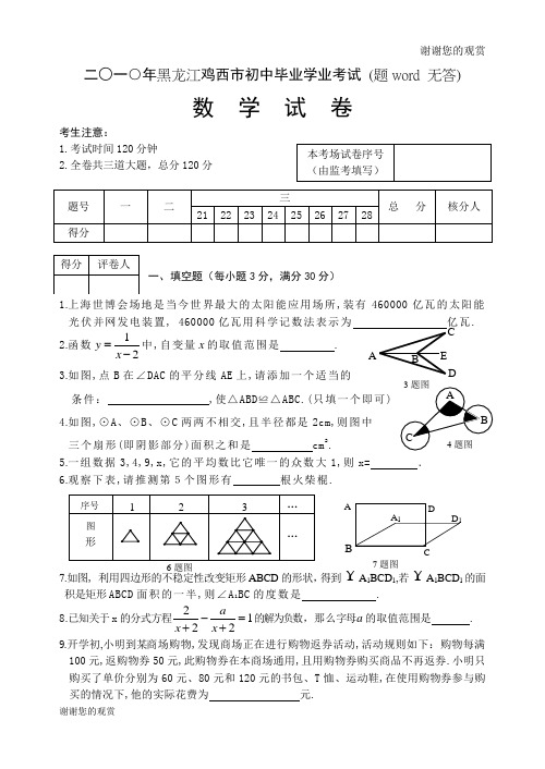 鸡西市2010年数学试题及答案.doc