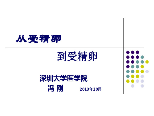 从受精卵到受精卵完整版