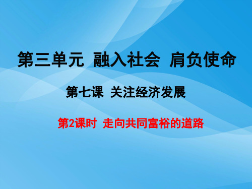 走向共同富裕的道路PPT课件17 人教版