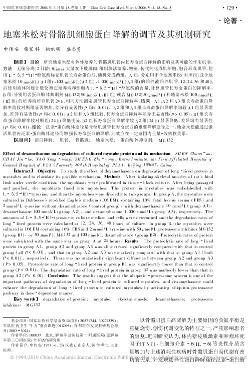 地塞米松对骨骼肌细胞蛋白降解的调节及其机制研究