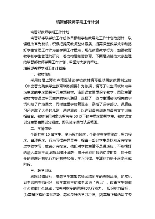 培智部教师学期工作计划