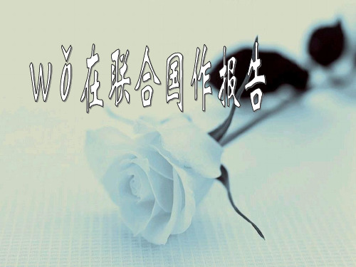 六年级下册品德课件-《我在联合国做报告》