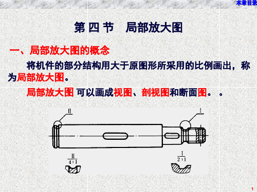 局部放大图