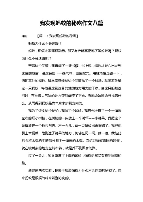 我发现蚂蚁的秘密作文八篇