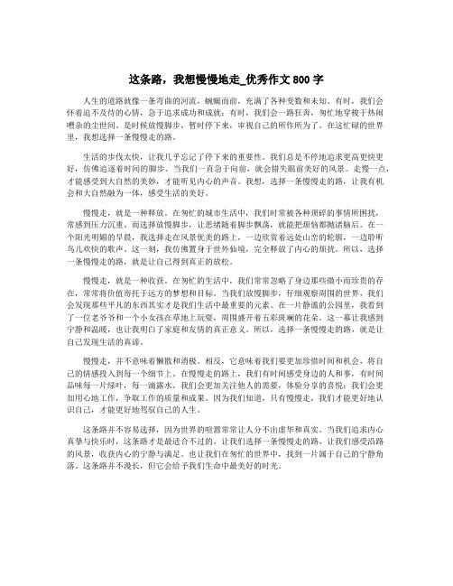 这条路,我想慢慢地走_优秀作文800字