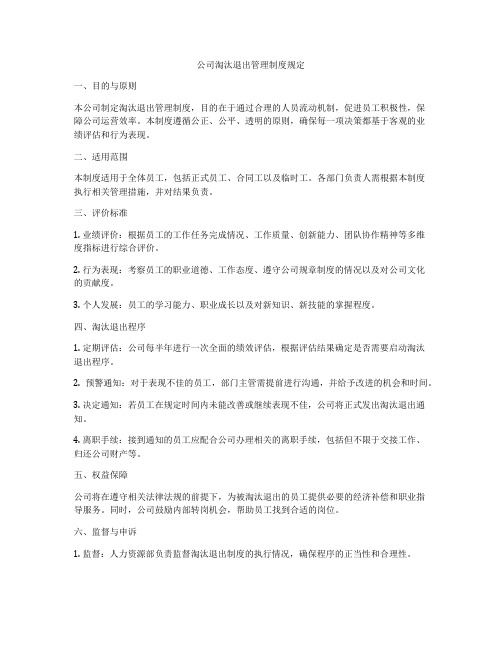 公司淘汰退出管理制度规定