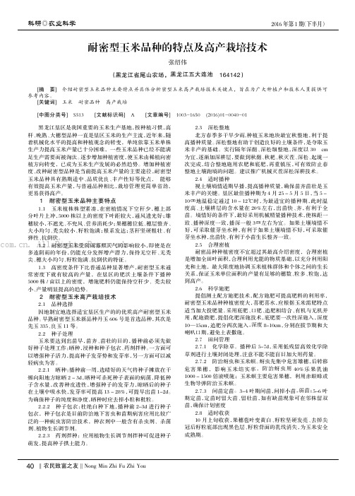 耐密型玉米品种的特点及高产栽培技术