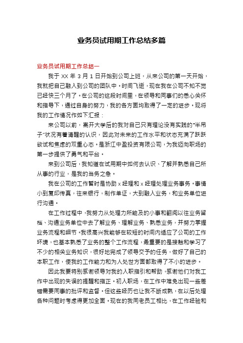 业务员试用期工作总结多篇