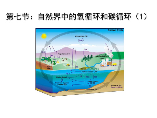 浙教版八年级科学下第三章第7节自然界中的氧循环和碳循环教学课件共31张PPT