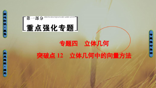 最新-2021年高考数学理科山东专版二轮专题复习与策略课件：第1部分 专题4 突破点12 立体几何中