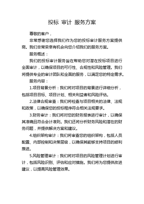 投标 审计 服务方案 (2)