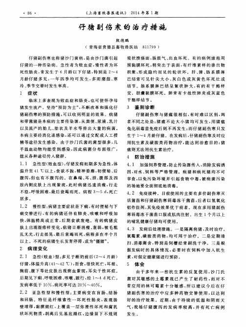 仔猪副伤寒的治疗措施