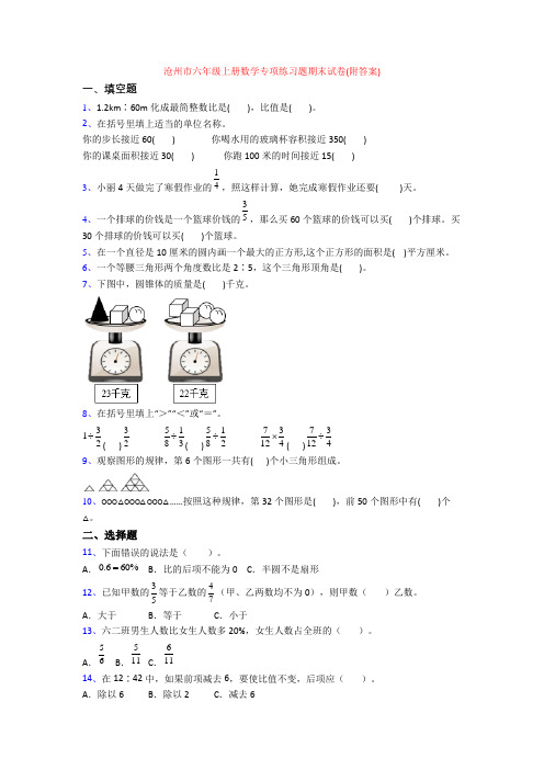 沧州市六年级上册数学专项练习题期末试卷(附答案)