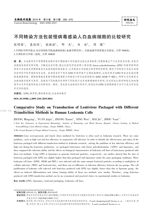 不同转染方法包装慢病毒感染人白血病细胞的比较研究