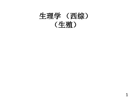 生理学西综12(生殖)