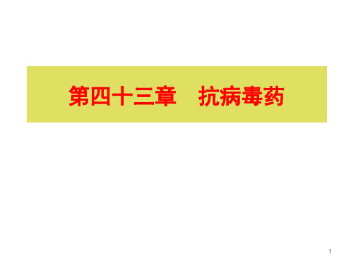 抗病毒药PPT参考课件