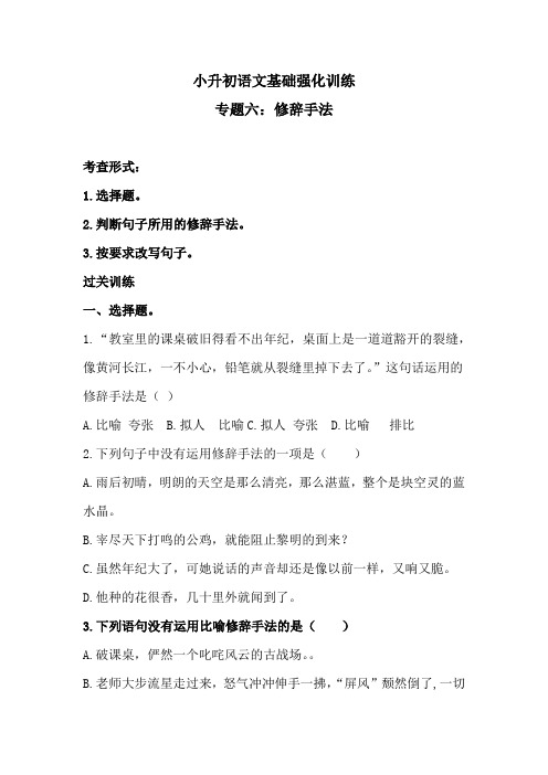 小升初语文基础强化训练  专题六 修辞手法(含答案)人教统编版