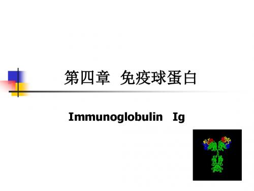 第四章  免疫球蛋白