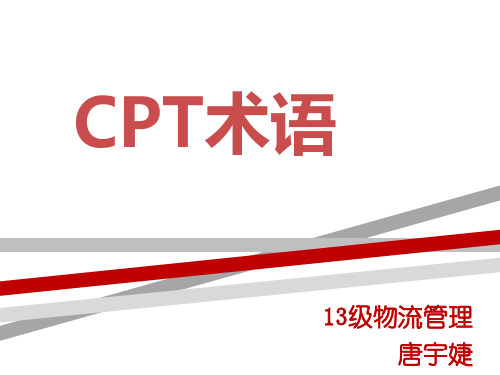 CPT术语