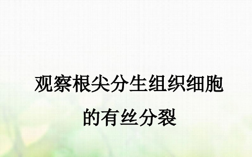 2018年秋季学期高中生物人教版必修一课件 Flash动态演示实验8观察根尖分生组织细胞的有丝分裂