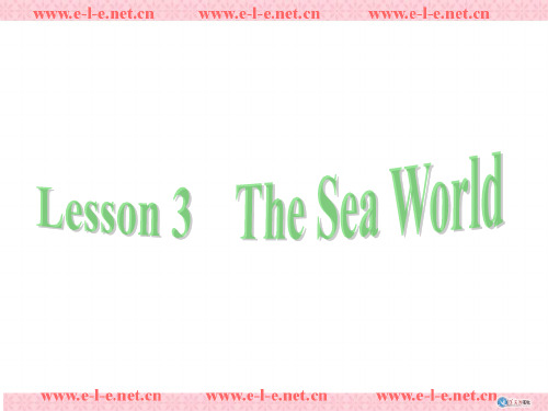 Lesson 3 The Sea World