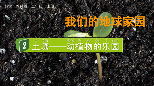 最新教科版二年级科学上册《土壤——动植物的乐园》优质教学课件